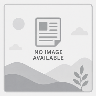 Briquettes are an Environmentally Friendly and Economical Alternative Fuel